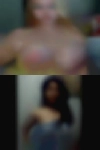 House Sarasota naked girls