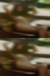 Local swingers Sault Ste. Marie